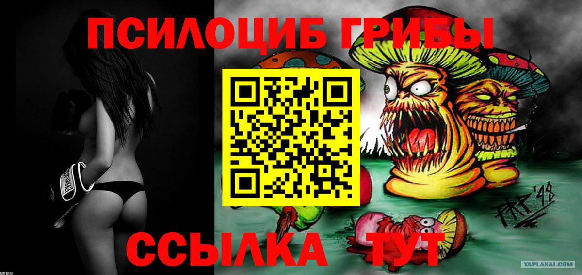 Псилоцибиновые грибы мухоморы Хасавюрт