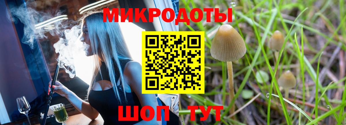 Хасавюрт  Псилоцибиновые грибы прущие грибы  Вход с VPN  Галлюциногенные грибы MAGIC MUSHROOMS 